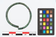 Foto von Bronzering (NHMW-PRAE-023836)